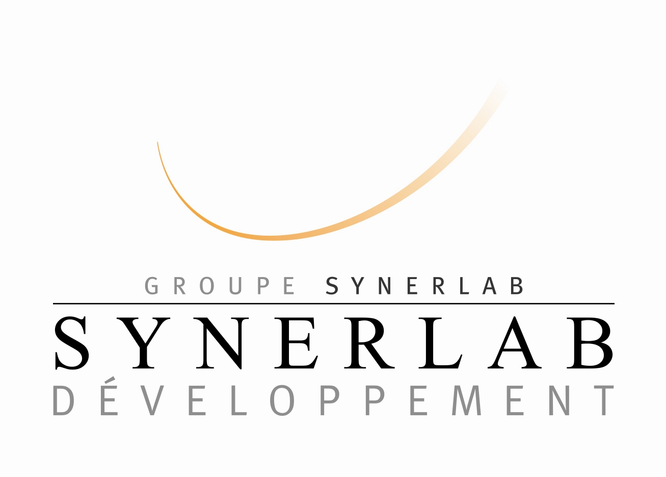 SYNERLAB DEVELOPPEMENT