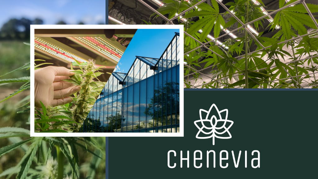Chenevia : un investissement stratégique pour structurer la filière du  cannabis thérapeutique en France - Atlanpole Biotherapies : Atlanpole  Biotherapies
