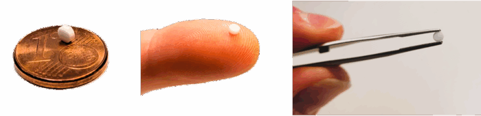 image-biophta-retintopic-