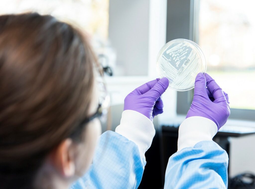 Clean Cells : sécuriser le développement des biothérapies, de l’idée au ...
